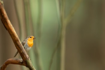 Unsplash ID r7aGQ0kifA0