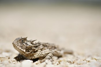 Unsplash ID RadJczno8RA