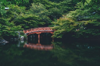 Unsplash ID raiiC47ZV7E