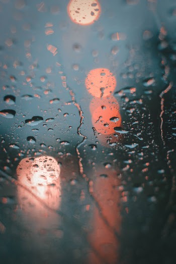 Unsplash ID RAmpnn20rmY