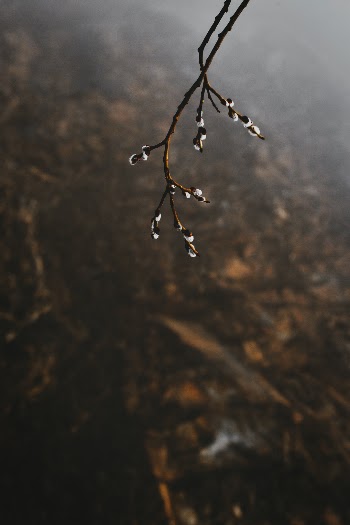 Unsplash ID rCKh_yX-AuM