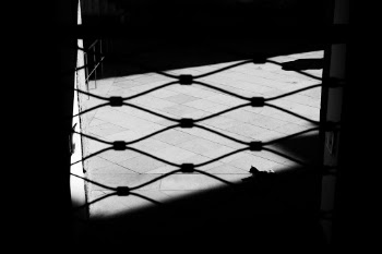 Unsplash ID RCpUt4rS06w