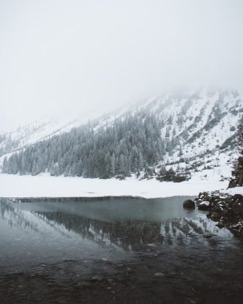 Unsplash ID Rcz61LjXX6A