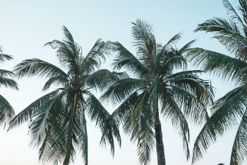 Unsplash ID rDhkof2va6s