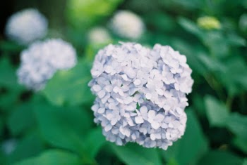 Unsplash ID RdHofP9xhmc