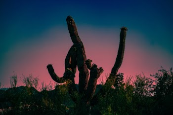 Unsplash ID Re-_rHb9-f4