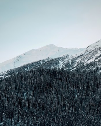 Unsplash ID RE2RrC7HCAI