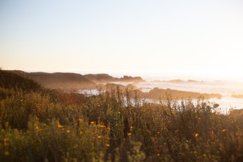 Unsplash ID RFFavseESI4