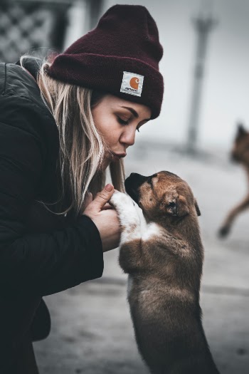 Unsplash ID rFvlfJCKqEU