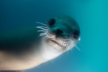 Unsplash ID rHmn-CYiMlo