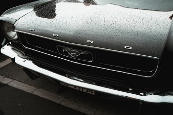 Unsplash ID rI9zZjCyUKg