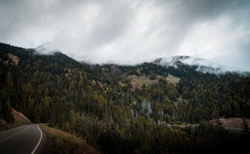 Unsplash ID RIFCgMR9cBQ