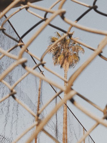 Unsplash ID rkHRWegluHw