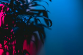 Unsplash ID rKrva-vNgCU