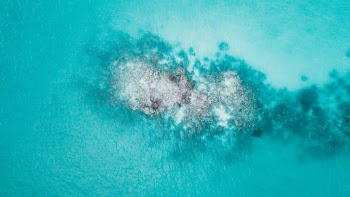 Unsplash ID RLBxNfPoB9U