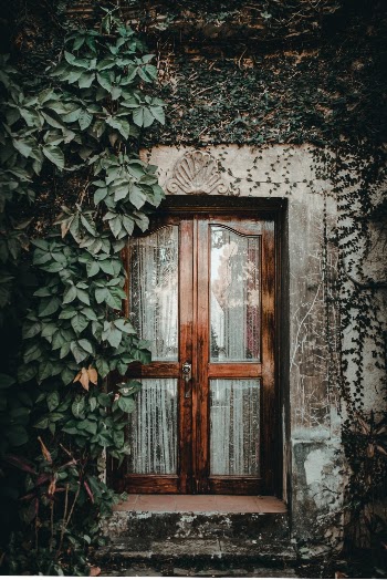 Unsplash ID RLHw2RIUWsM