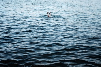 Unsplash ID Rm7Q09m4W00