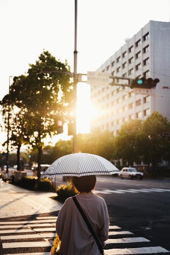 Unsplash ID rMmintb_Fzo