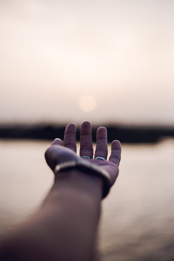 Unsplash ID rNp6dwwFCHU