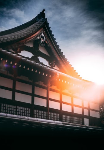 Unsplash ID RoCYkJcEBKs