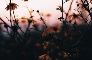 Unsplash ID rqbV09yzYyw