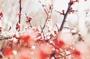 Unsplash ID RrCjwzmvWhE