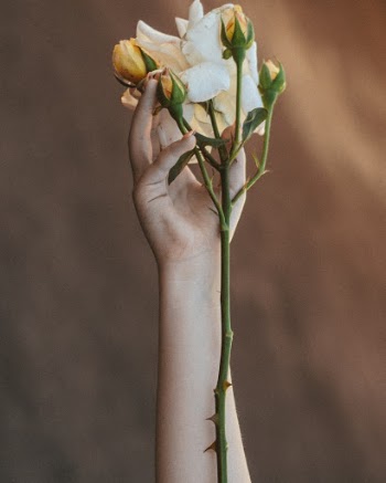 Unsplash ID RTGcZA5fVac