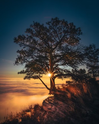 Unsplash ID RUuZQ4Zh8H8