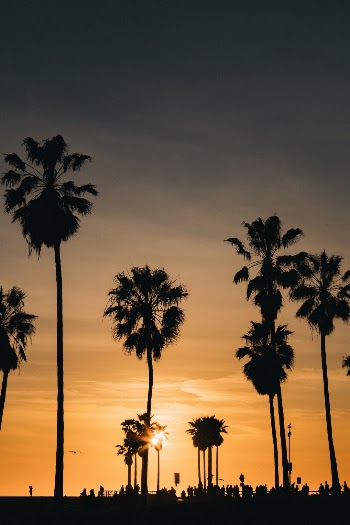 Unsplash ID RvCilE2HdQw