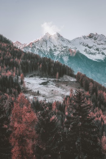 Unsplash ID rWCYoMv6BoM