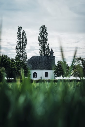 Unsplash ID RXRldi9Q6Xc