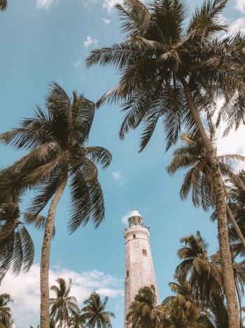 Unsplash ID rxs6ymCnbMo