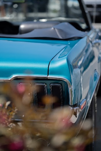 Unsplash ID Rxvh7cpox40