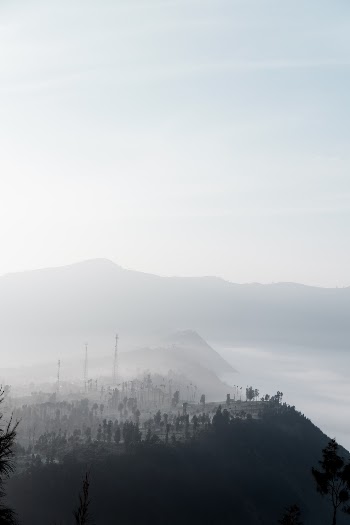 Unsplash ID RzT0sl4JEAM