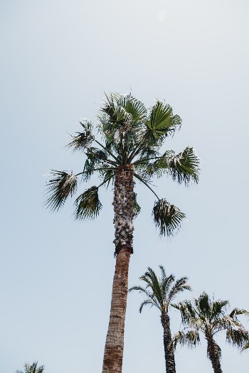Unsplash ID s_NpXXUCPeI
