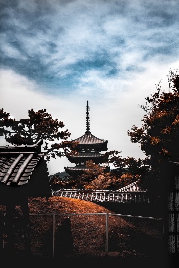 Unsplash ID S1fge8_zYVU