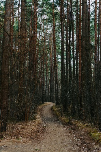 Unsplash ID S2Xc5Fo68s8