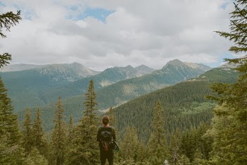 Unsplash ID s2ZI2KGsPIc