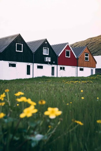 Unsplash ID S4z1IwGSGXE