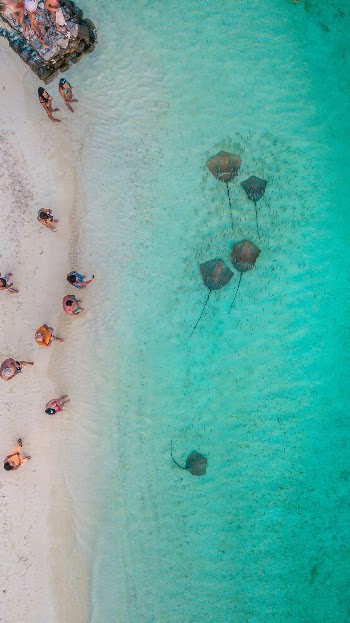 Unsplash ID S7td7RmQfs0