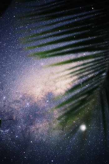 Unsplash ID SARO_rF_DFQ
