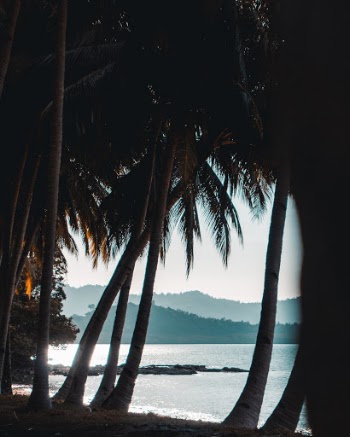 Unsplash ID sbLxgU-sldg
