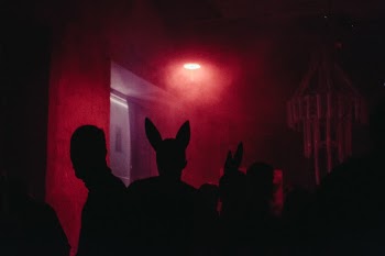 Unsplash ID SbPUMwGYzLo