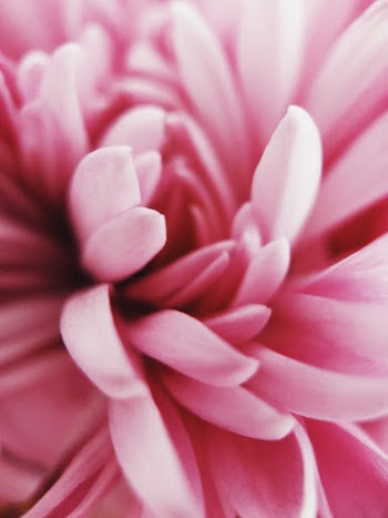 Unsplash ID sDY0c0m7V7I