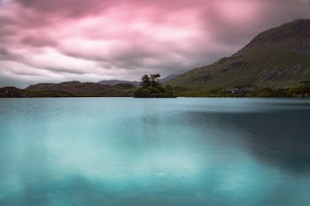 Unsplash ID sehhztON17I