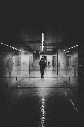 Unsplash ID SeTKqRJFlYA
