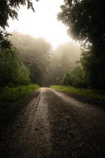 Unsplash ID sFj7RlQA_-U