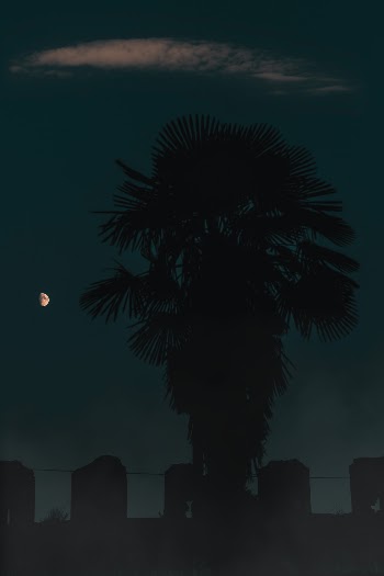 Unsplash ID Sg3tKMMb5Xs