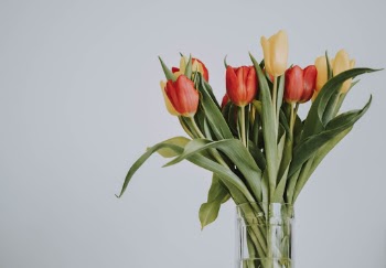 Unsplash ID SGI_unTZ5Uk