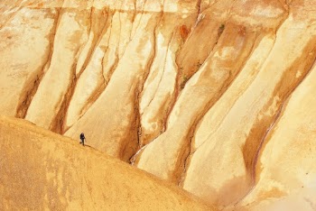 Unsplash ID Sh1vxgjXqF0